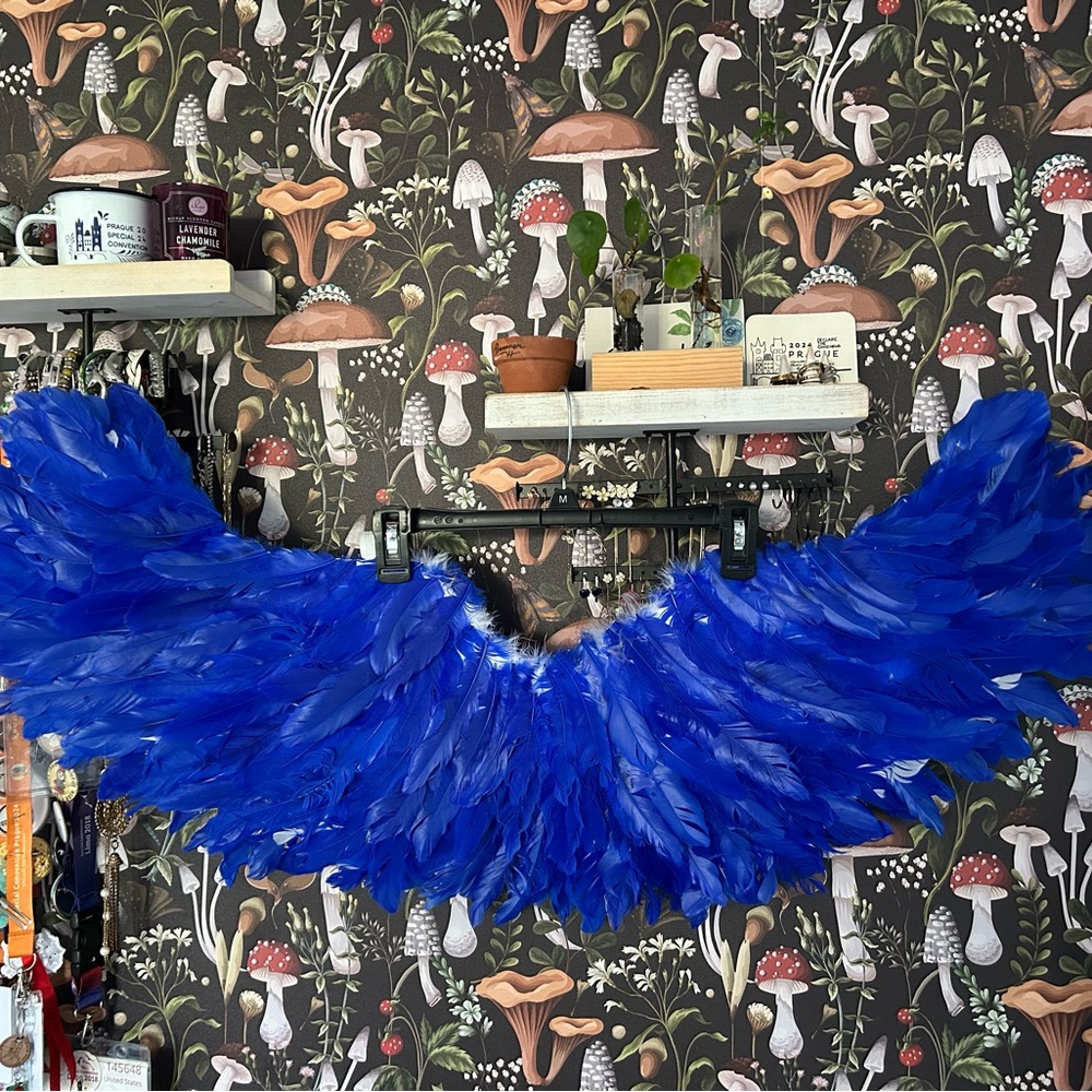 Blue Feather Angel Wings